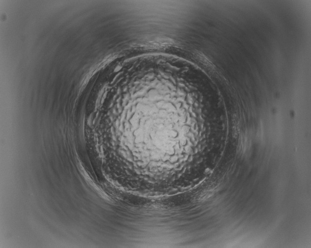 X0000056370634200508291402