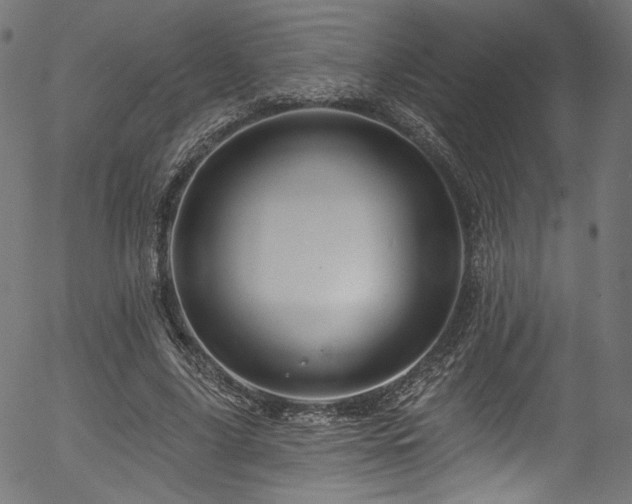 X0000056370635200508291402