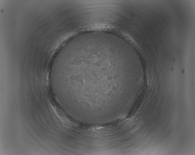 X0000056370636200508291402