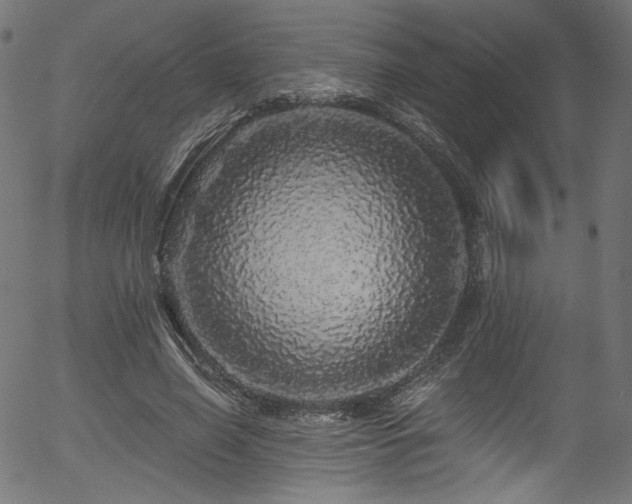 X0000056370638200508291402