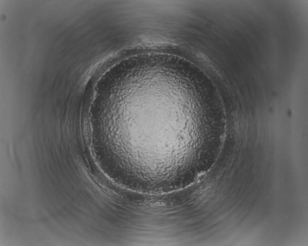 X0000056370640200508291402