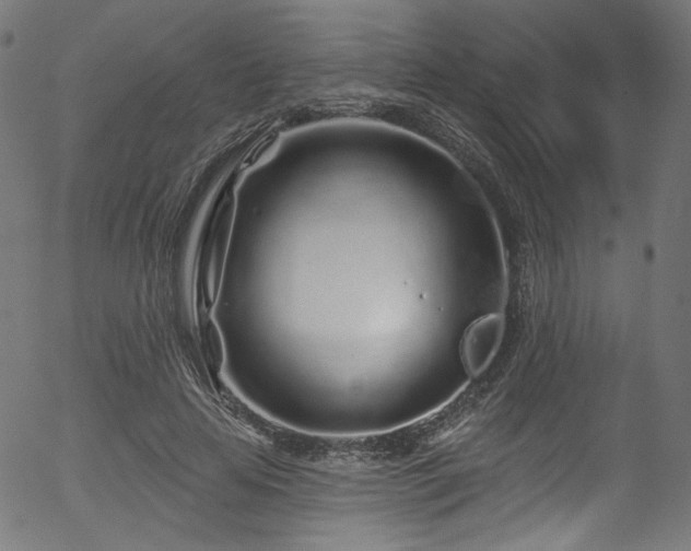 X0000056370641200508291402