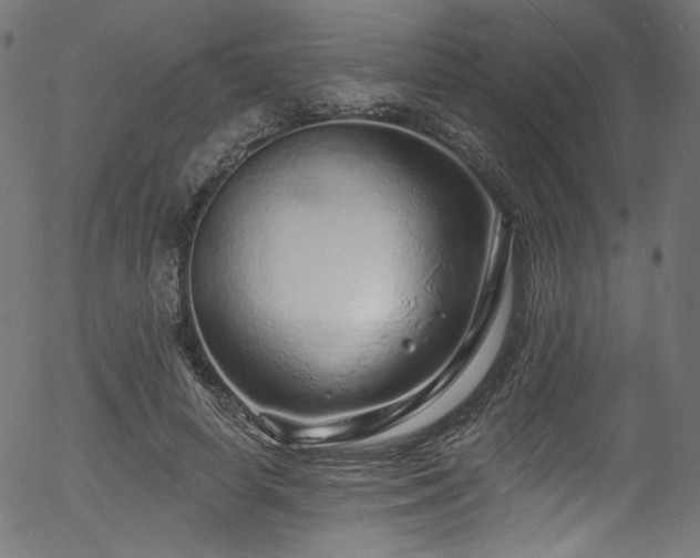 X0000056370642200508291402