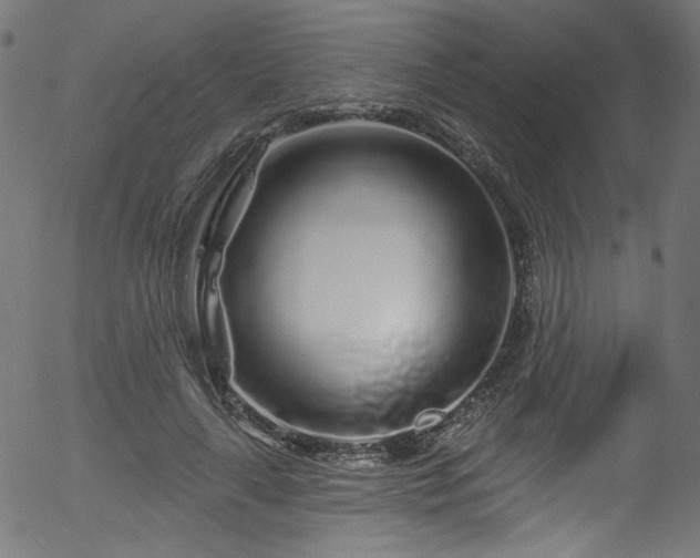 X0000056370643200508291402