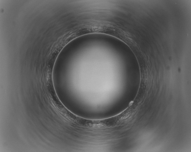 X0000056370645200508291402