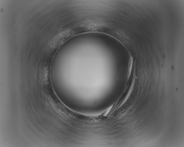 X0000056370646200508291402