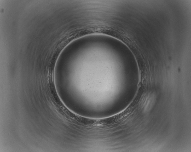 X0000056370647200508291402