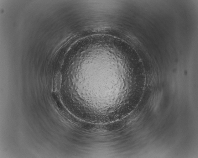 X0000056370648200508291402