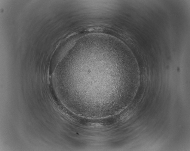 X0000056370649200508291402