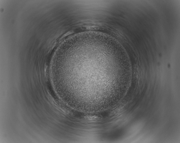 X0000056370650200508291402