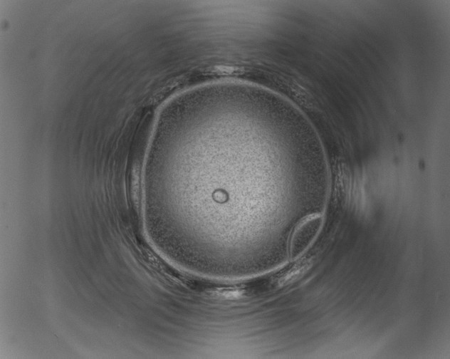 X0000056370651200508291402