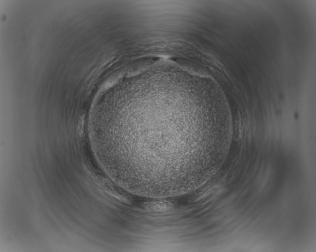 X0000056370652200508291402