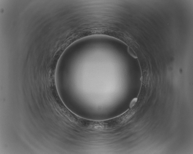 X0000056370655200508291402