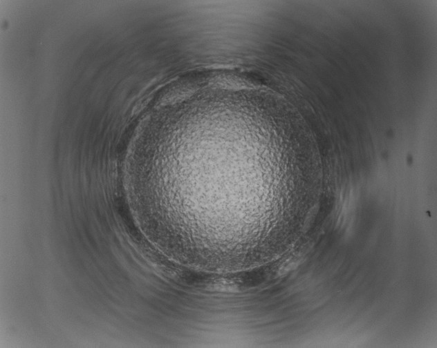 X0000056370656200508291402