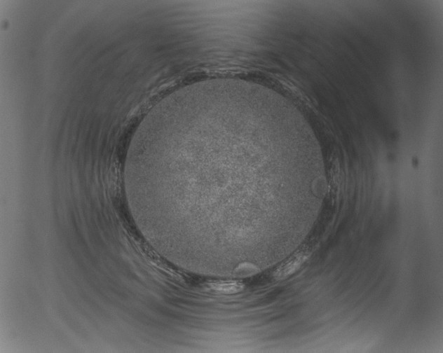 X0000056370659200508291402