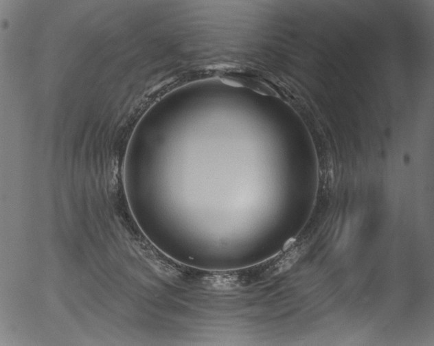 X0000056370660200508291402