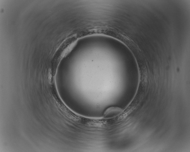 X0000056370661200508291402