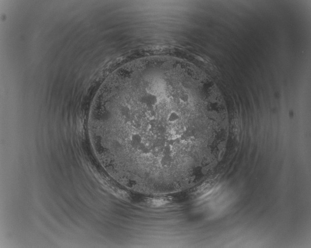 X0000056370662200508291402