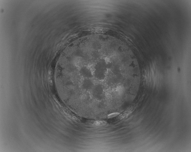 X0000056370663200508291402