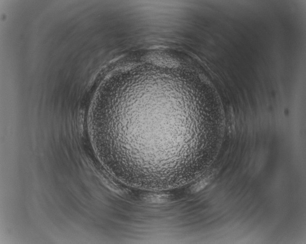 X0000056370664200508291402