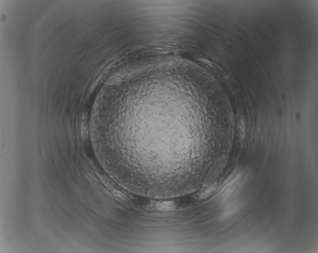 X0000056370665200508291402