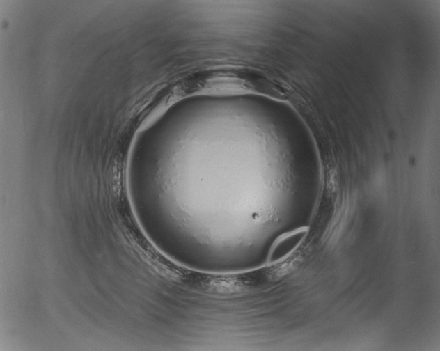 X0000056370666200508291402