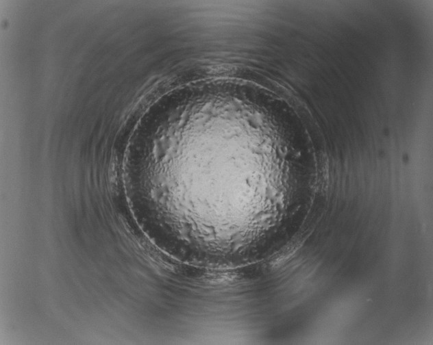 X0000056370667200508291402