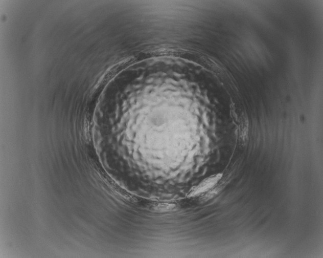 X0000056370669200508291402