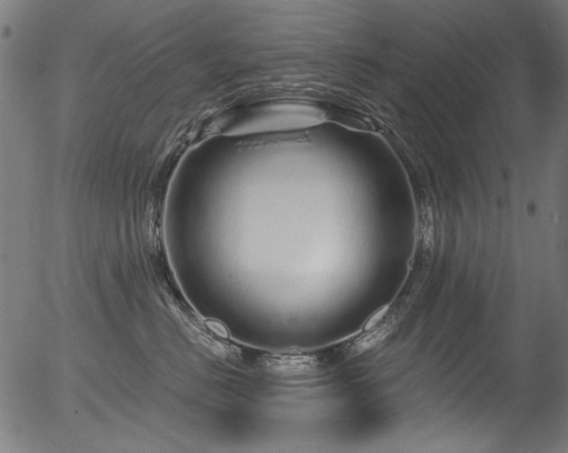 X0000056370670200508291402