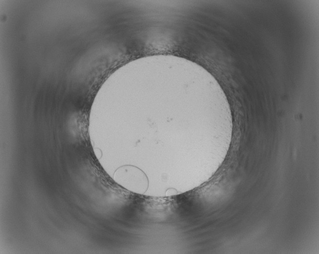 X0000056370672200508291402