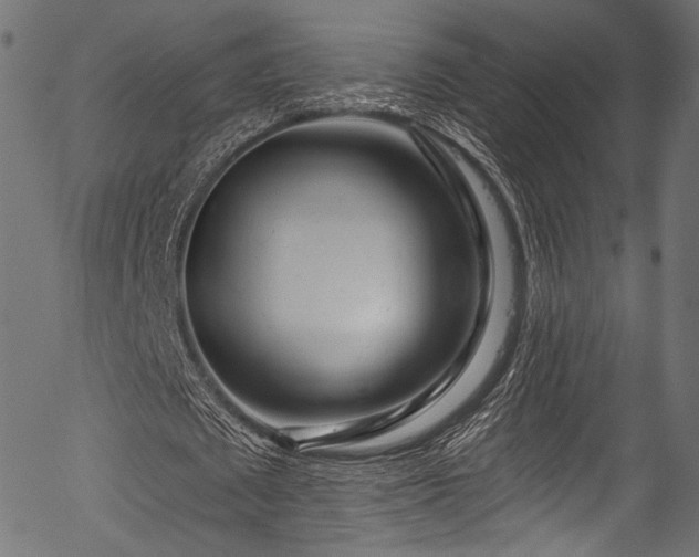 X0000056370673200508291401