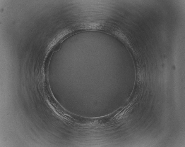 X0000056370674200508291401