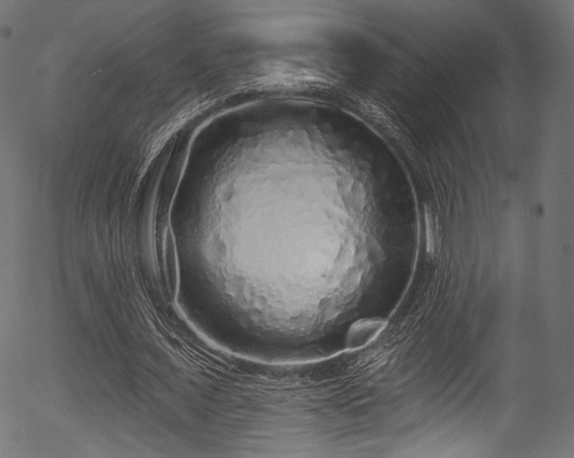 X0000056370675200508291401