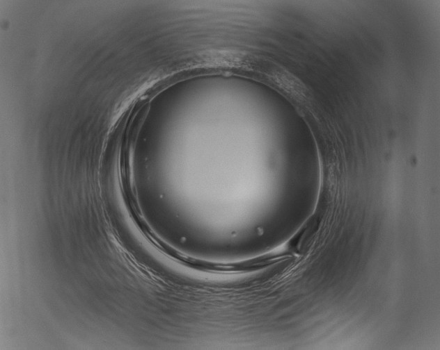 X0000056370676200508291401