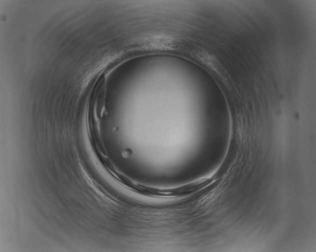 X0000056370677200508291401