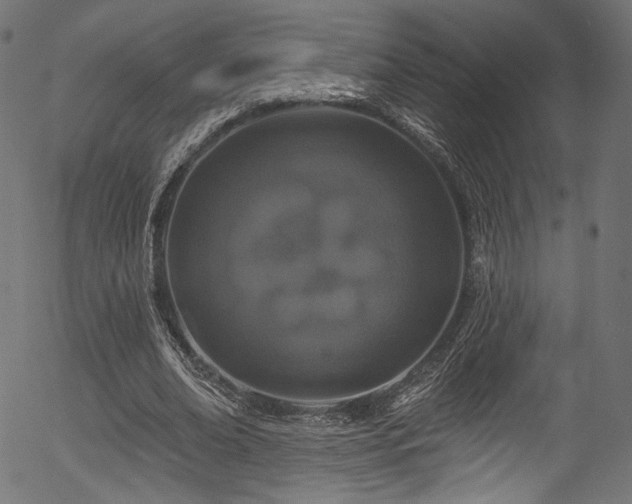 X0000056370678200508291401