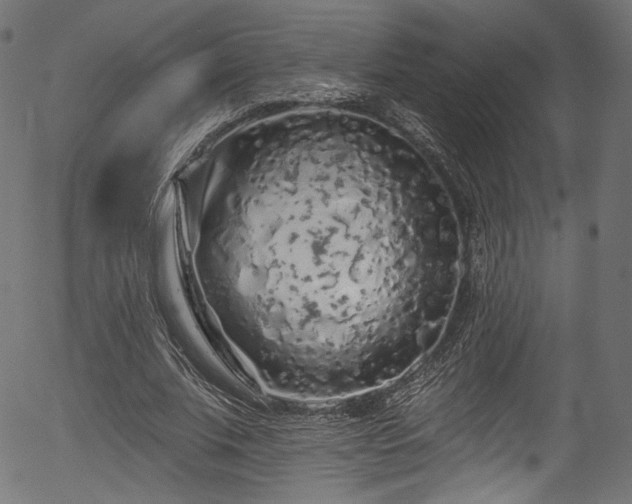 X0000056370679200508291401