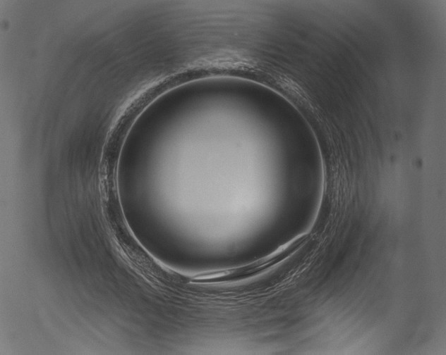 X0000056370680200508291401