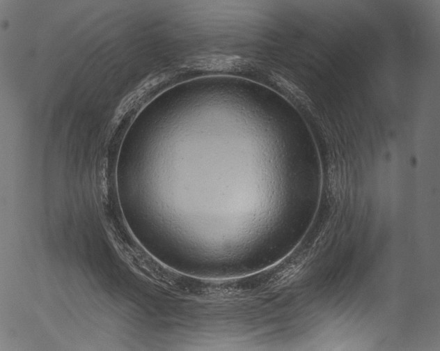 X0000056370682200508291401