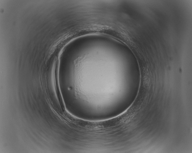 X0000056370683200508291401