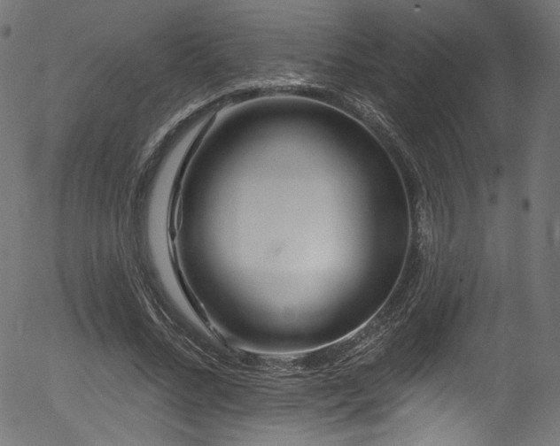 X0000056370684200508291401