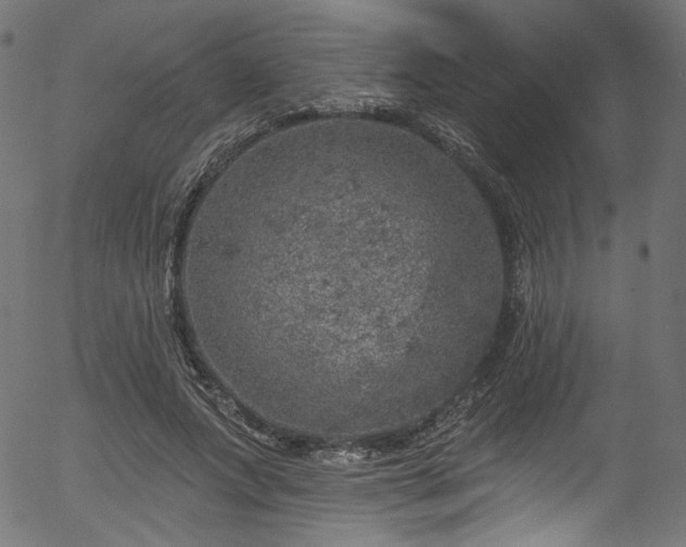 X0000056370687200508291401