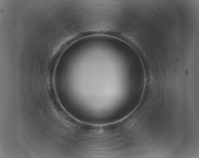 X0000056370688200508291401