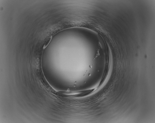 X0000056370689200508291401