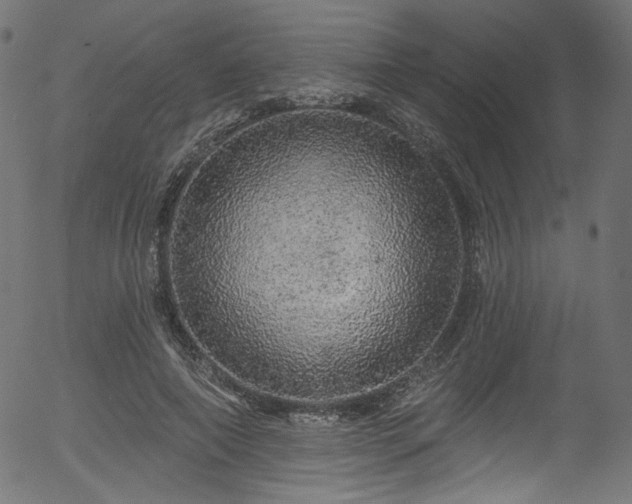 X0000056370690200508291401