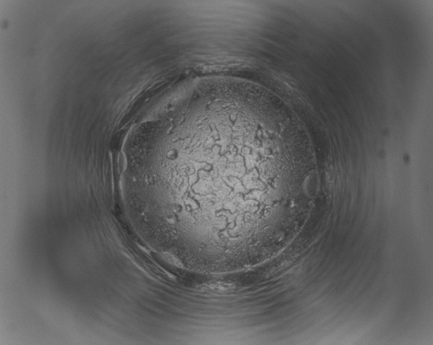 X0000056370691200508291401