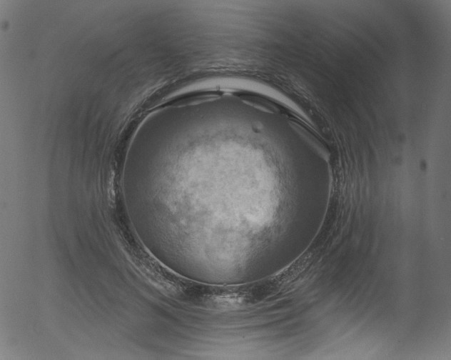 X0000056370692200508291401