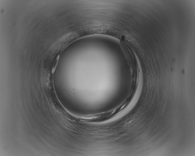 X0000056370693200508291401