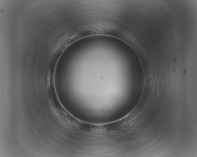 X0000056370694200508291401