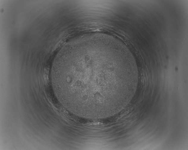 X0000056370695200508291401